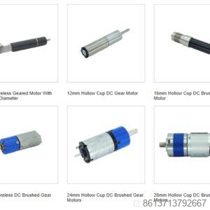 Diameter 22mm Hollow Cup Gear Motor Parameters